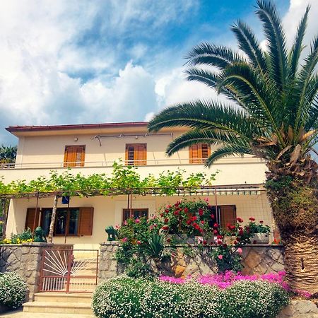 Apartments Katarina Porat مالينسكا المظهر الخارجي الصورة