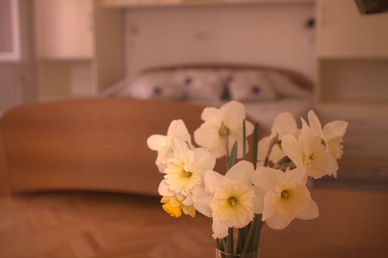 Apartments Katarina Porat مالينسكا المظهر الخارجي الصورة